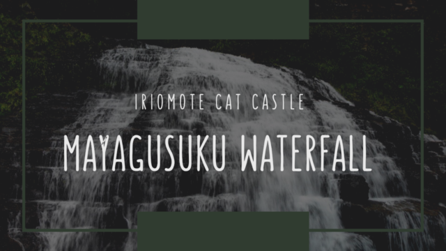 一度は行ってみたい西表島マヤグスクの滝