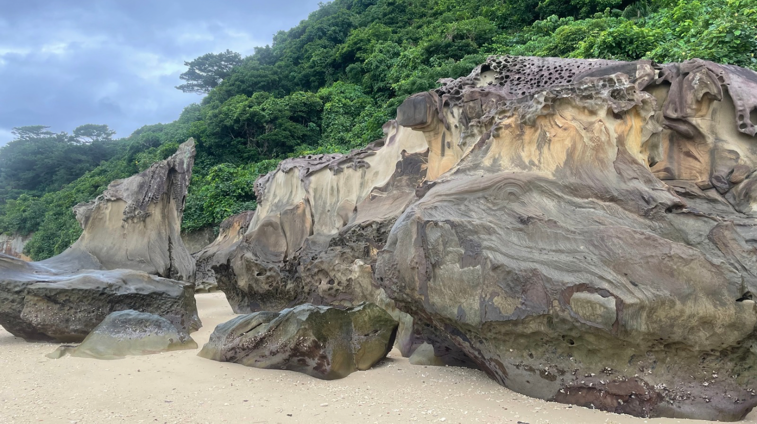 西表島の干潮時に現れる芸術的な砂岩