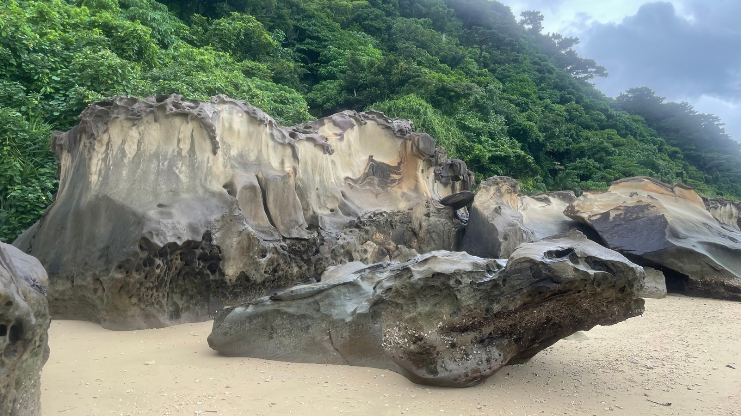 西表島の干潮時に現れる芸術的な砂岩