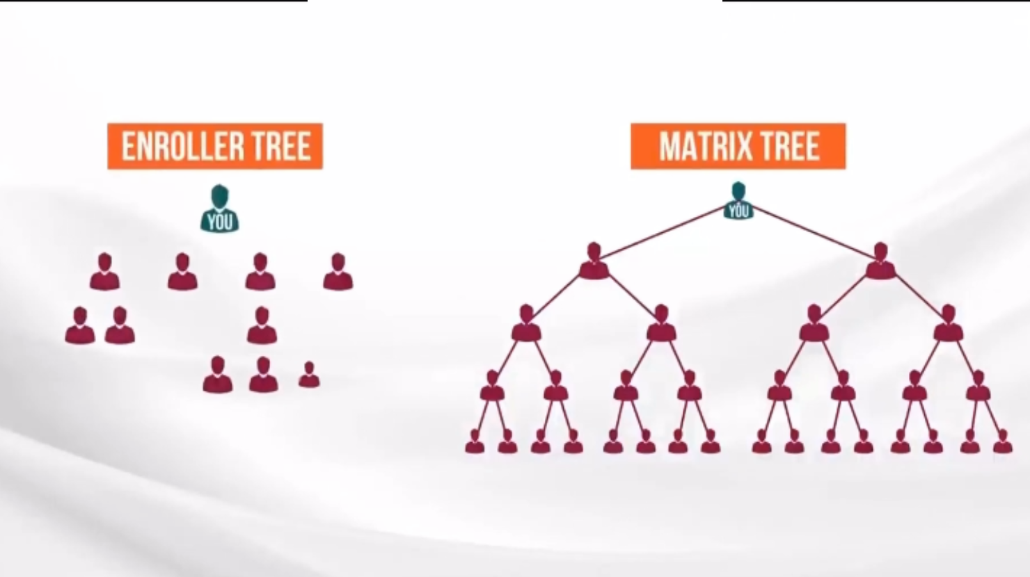 livegood "enroller tree"&"matrix tree"