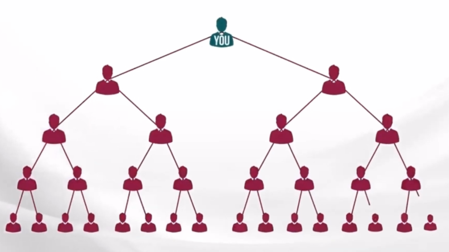 Livegood matrix tree