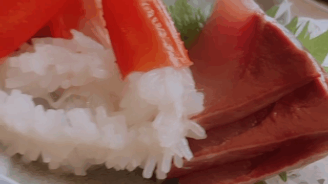 alt="富山県魚津市港町で食べたお刺身定食"