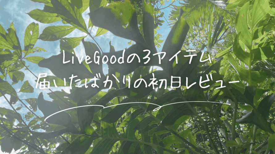 LiveGoodの３つのアイテムをお迎えしました｜私のゆるヘルシールーティンの仲間入り