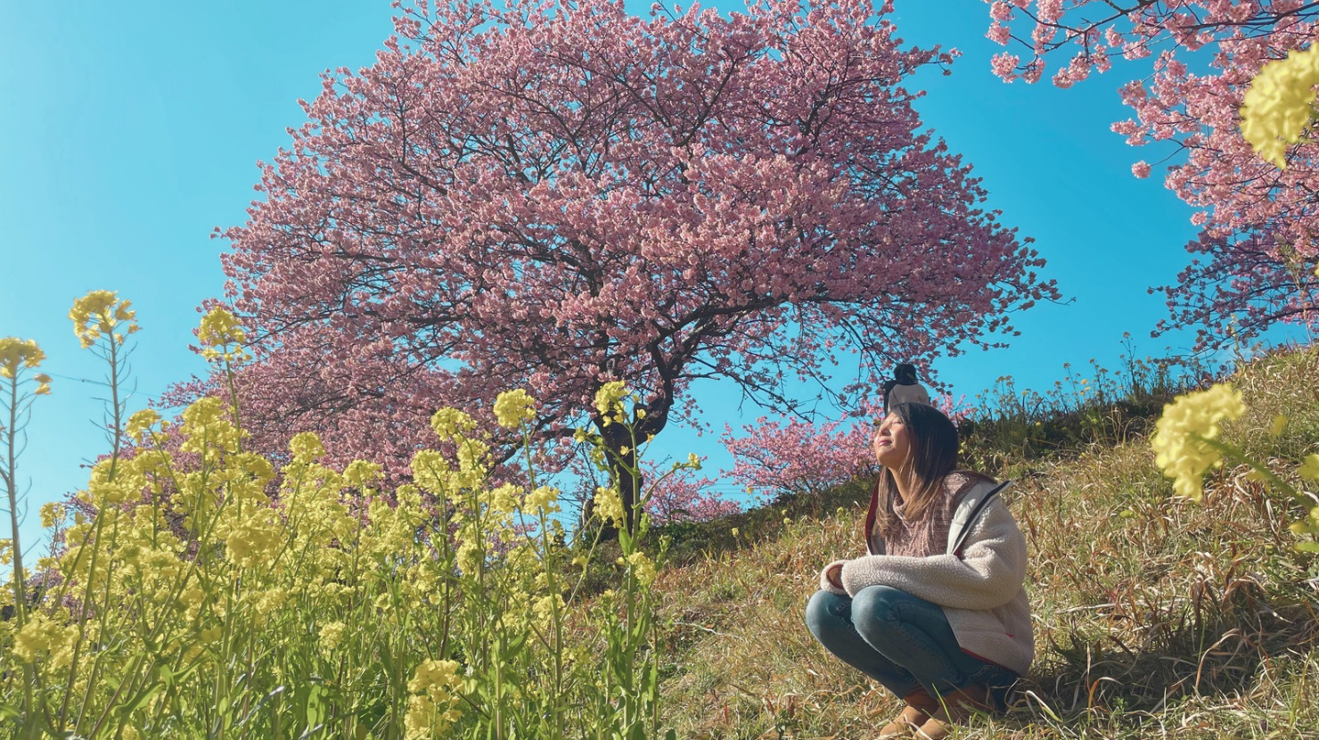 alt=SARAHと南伊豆の河津桜"