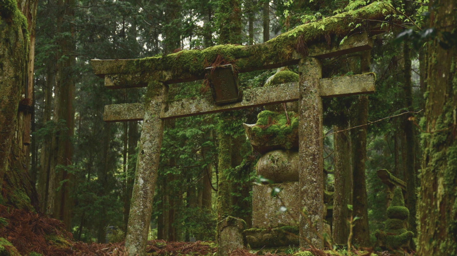 alt="苔むす雨の高野山・奥之院"